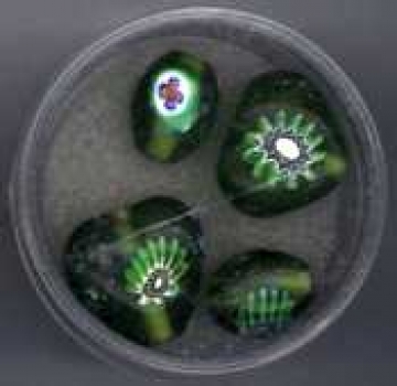 Glasperlen Millefiori oliv