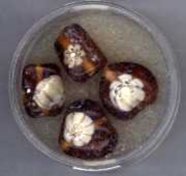 Glasperlen Millefiori braun