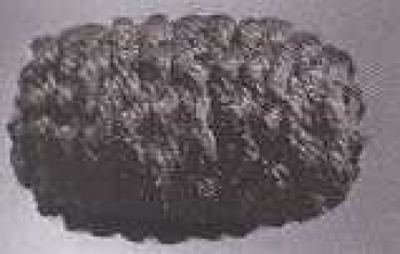 Häkelperlen oval schwarz