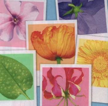 Serviette Blumen, Vierecke, Rarität