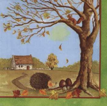 Serviette Igel, Pilze, Rarität