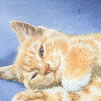 Serviette cozy cat (liegende Katze)