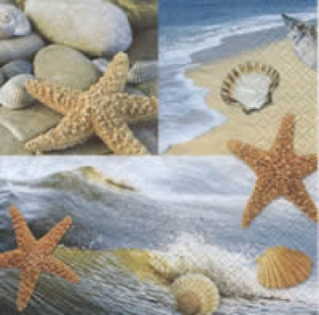 Serviette Muscheln, Strand (Ocean Patchwork)