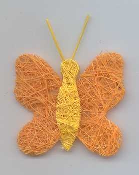 Sisal-Schmetterling, Flügel orange, Körper gelb