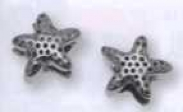 Charms Seestern silber