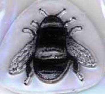 Mini Clear Stamp Hummel