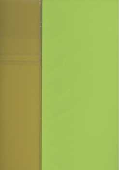Duo-Papier gelb-hellgrün