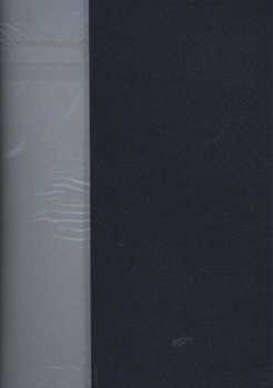 Duo-Papier anthrazit-silber