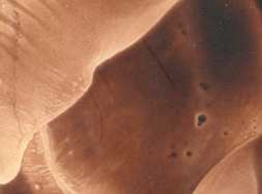 Encaustic-Wachsmalfarbe umbra