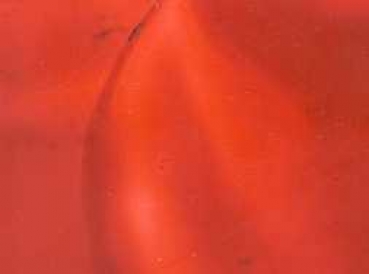 Encaustic-Wachsmalfarbe rot