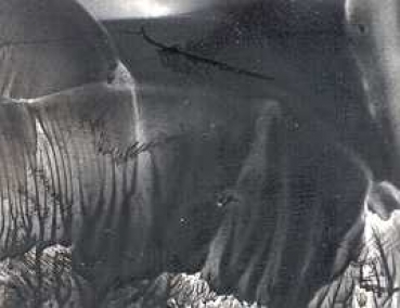 Encaustic-Wachsmalfarbe schwarz