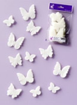 Nadelflies Schmetterlinge natur