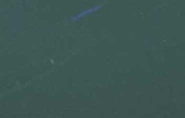 Set Doppelkarten und Couverts, Charly tannengrün