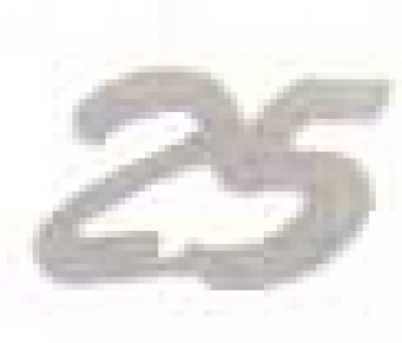Pailetten Zahl 25 silber