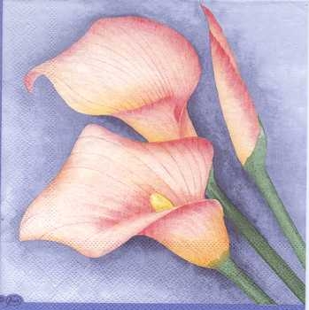 Serviette Calla rosa