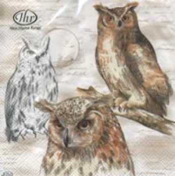 Serviette Eulen (Wisdom) creme