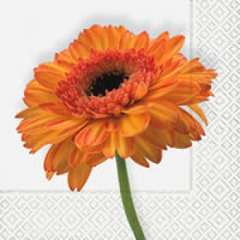 Serviette Gerbera orange