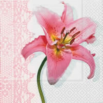 Serviette Lilie rosa
