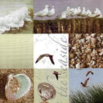 Serviette Muscheln, Möwen (the Seaside)