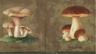 Serviette Pilze, Rarität