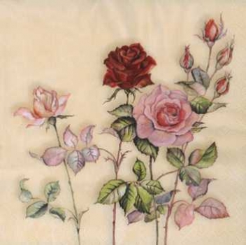 Serviette Rosen