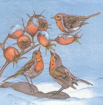 Serviette Rotkelchen, Hagebutten, Rarität