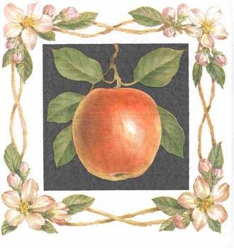 Serviette Apfel