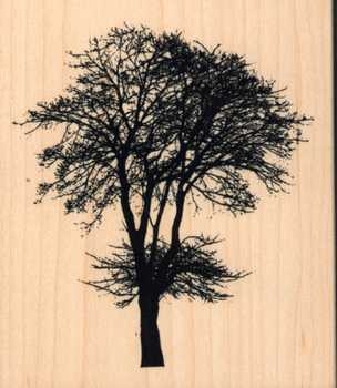 Stempel Baum
