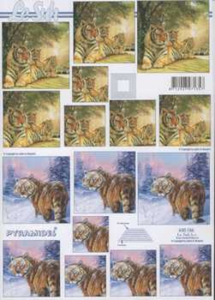 3D Pyramiden-Schneidebogen Tiger