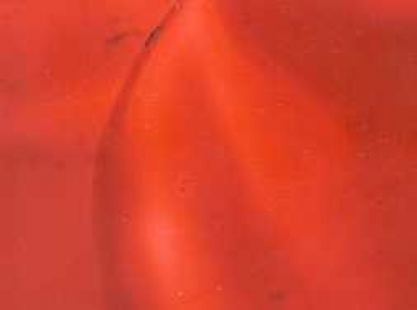Encaustic-Wachsmalfarbe karminrot