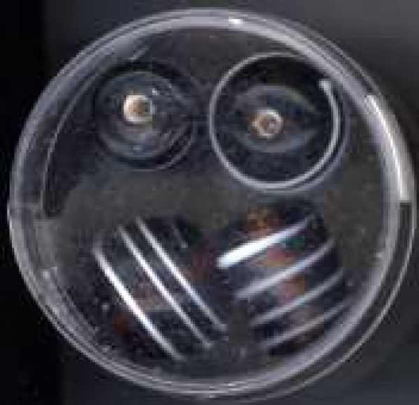 Glasperlen Spiralen braun-weiss