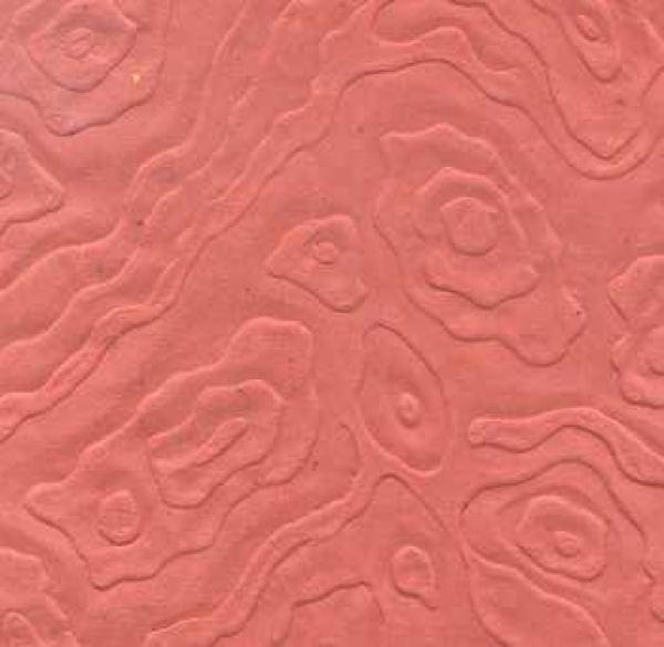Paper Wave rot