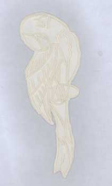 Seidenapplikation Papagei