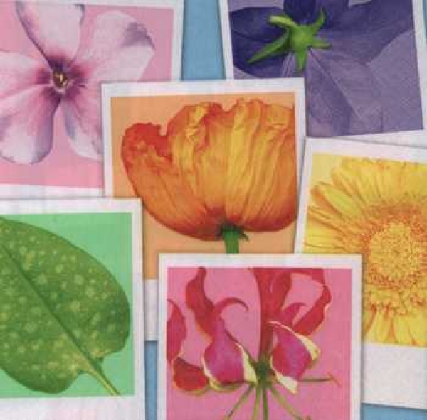 Serviette Blumen, Vierecke, Rarität