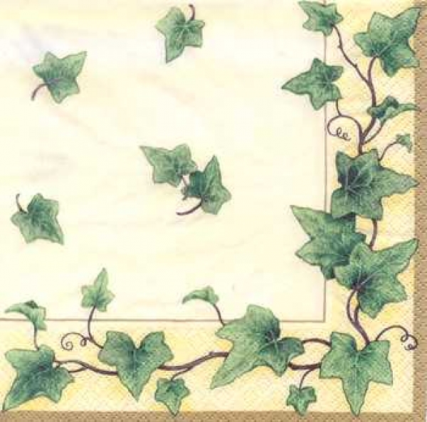 Serviette Efeu