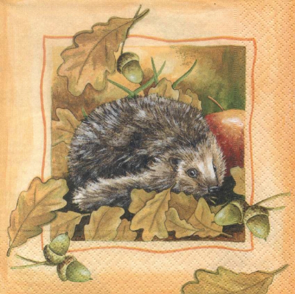 Serviette Igel (Prickly)