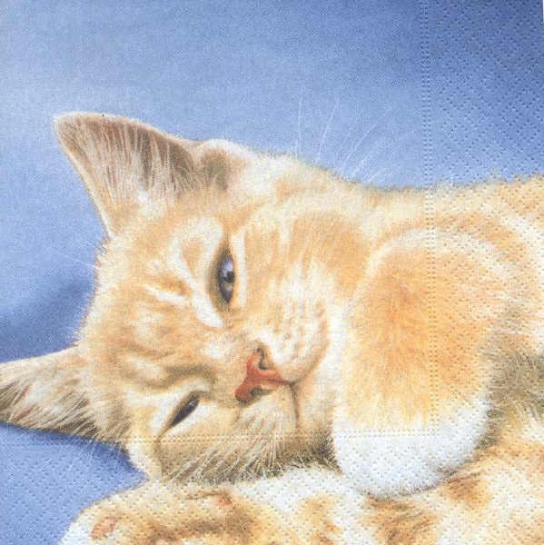 Serviette cozy cat (liegende Katze)