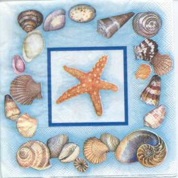 Serviette Muscheln, Seestern, Rarität