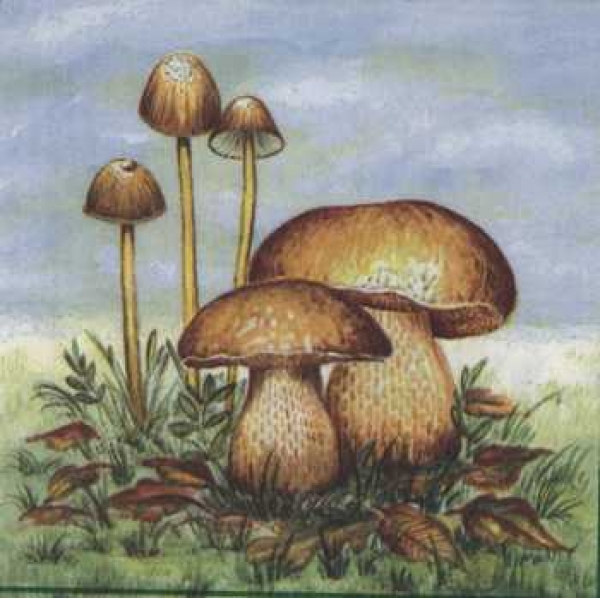 Serviette Pilze, Rarität