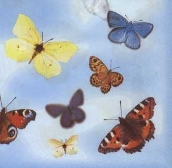 Serviette diverse Schmetterlinge, Rarität