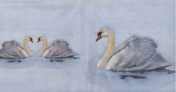 Serviette Schwäne, Rarität