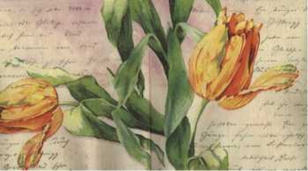 Serviette Tulpen orange, Schrift, Rarität
