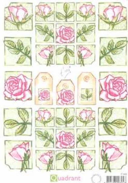 3D Schneidebogen Quadrat Rosen rosa