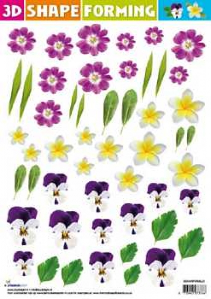 3D Shape Forming Blumen, 23