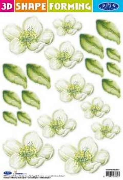 3D Shape Forming Blumen, 27