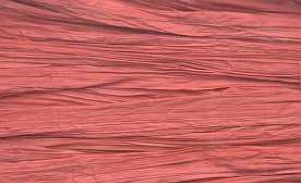 Edelbast glänzend, bordeaux