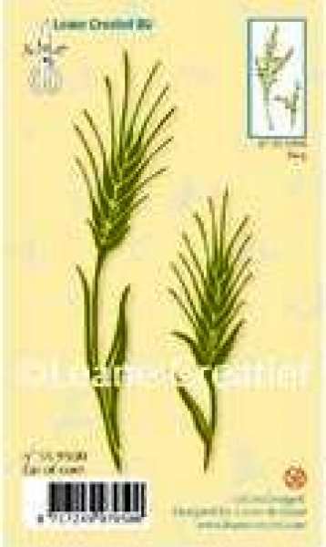 Clear Stamp Korn, z.B. für Kondolenzkarten