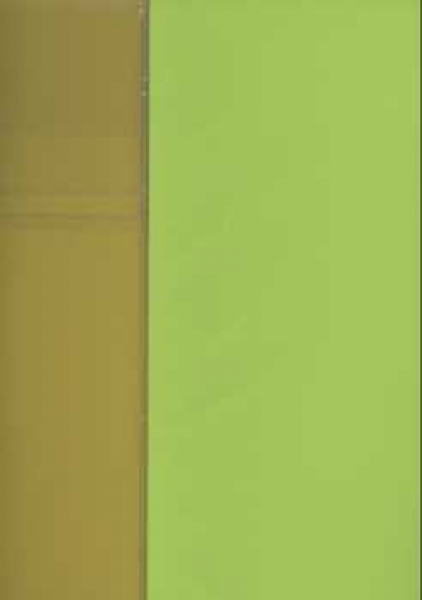 Duo-Papier gelb-hellgrün