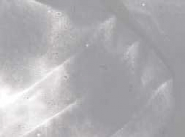 Encaustic-Wachsmalfarbe grau