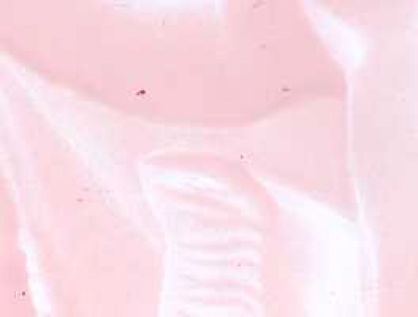 Encaustic-Wachsmalfarbe rosa